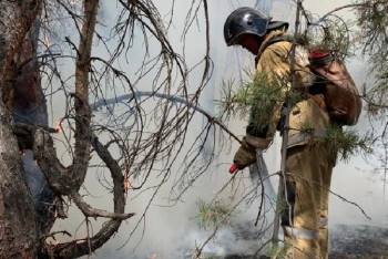 Фотография к новости: Лесные пожары в Костанайской области: признаков диверсии не установлено