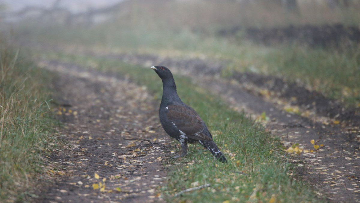 пресс-службы Управления Делами Президента