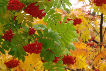 Фотография к новости: Какой будет погода в Казахстане 17 сентября