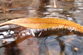 Фотография к новости: Заморозки и усиление ветра. Каким будет воскресенье в Казахстане