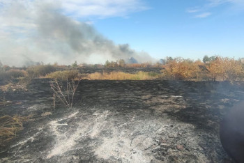 Фотография к новости: Пригородные дачи Костаная спасают от огня