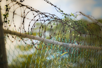 Фотография к новости: На восемь лет осудили банкротного управляющего за вымогательство 100 миллионов тенге