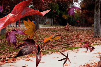 Фотография к новости: Какой будет погода в Казахстане 20 сентября