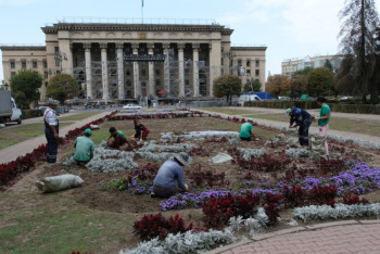 Фотография к новости: Зрители концерта Gakku Дауысы уничтожили почти 94 тысячи цветов