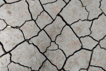 Фотография к новости: Землетрясение произошло неподалеку от Алматы