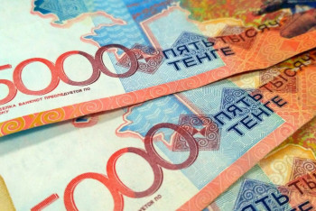 Фотография к новости: 54 208 тенге - среднее пособие по инвалидности в Казахстане - Минтруда