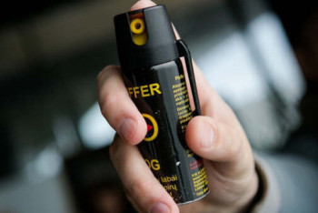 Фотография к новости: 10-летняя девочка распылила газовый баллончик в школе Павлодара