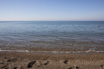 Фотография к новости: 1,5 миллиона человек отдохнули летом 2022 года на Алаколе