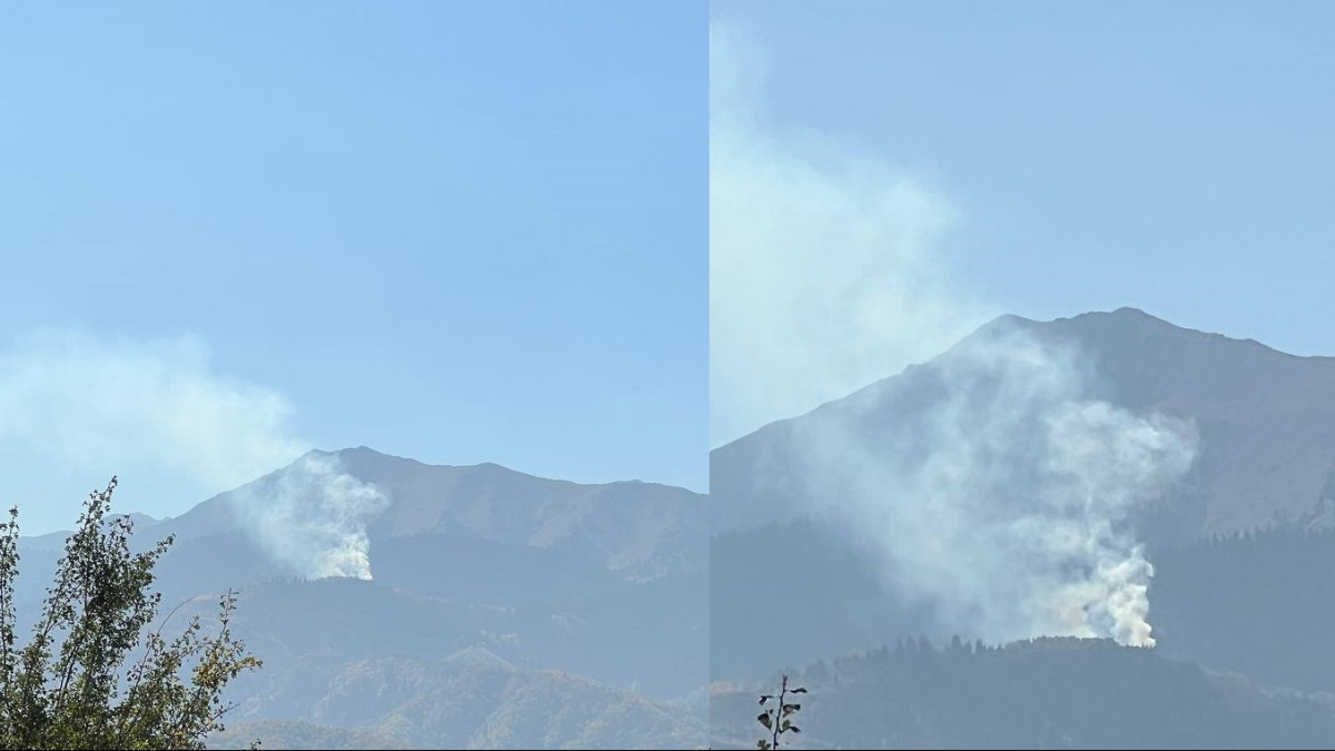 Пожар тушат на Кок-Жайлау в Алматы