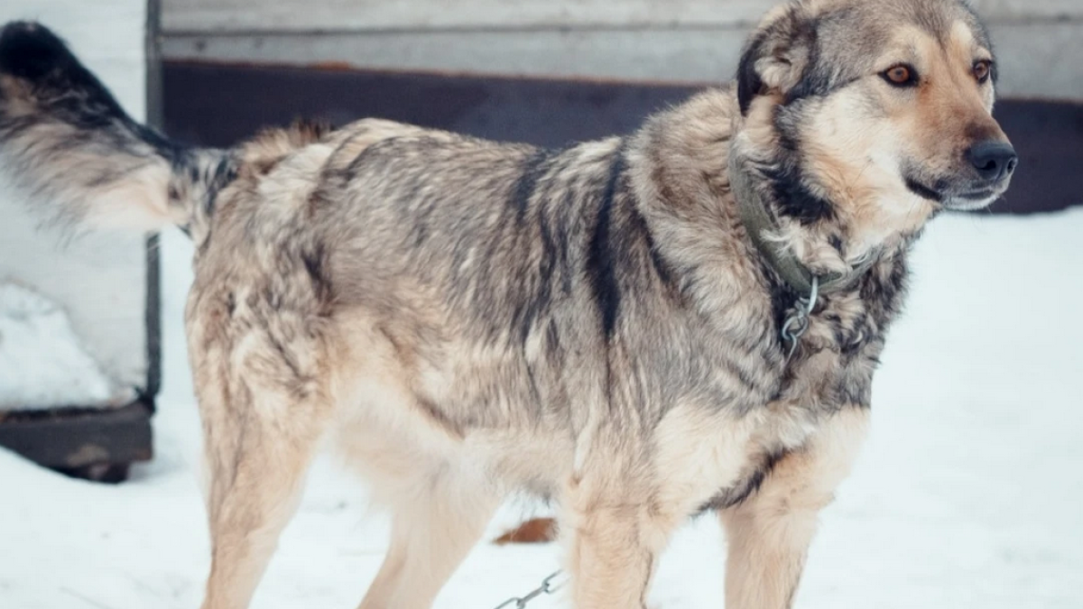 ДУИС Карагандинской области