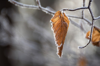 Фотография к новости: Штормовое предупреждение объявлено в Астане и семи областях Казахстана