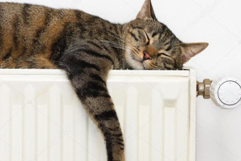 Фотография к новости: Из-за похолодания в Астане раньше срока включили отопление