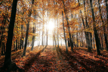 Фотография к новости: Снег на востоке, жара на юге - погода в Казахстане 30 сентября