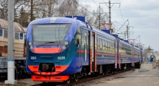 Поезд сбил насмерть животных в Акмолинской области