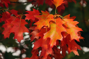 Фотография к новости: Какой будет погода в первый день октября в Казахстане