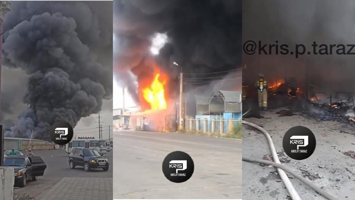 instagram.com/kris.p.taraz