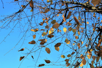 Фотография к новости: Штормовое предупреждение объявлено в пяти регионах Казахстана