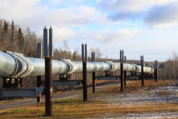 Фотография к новости: Важный трубопровод сдали на металл в Жамбылской области