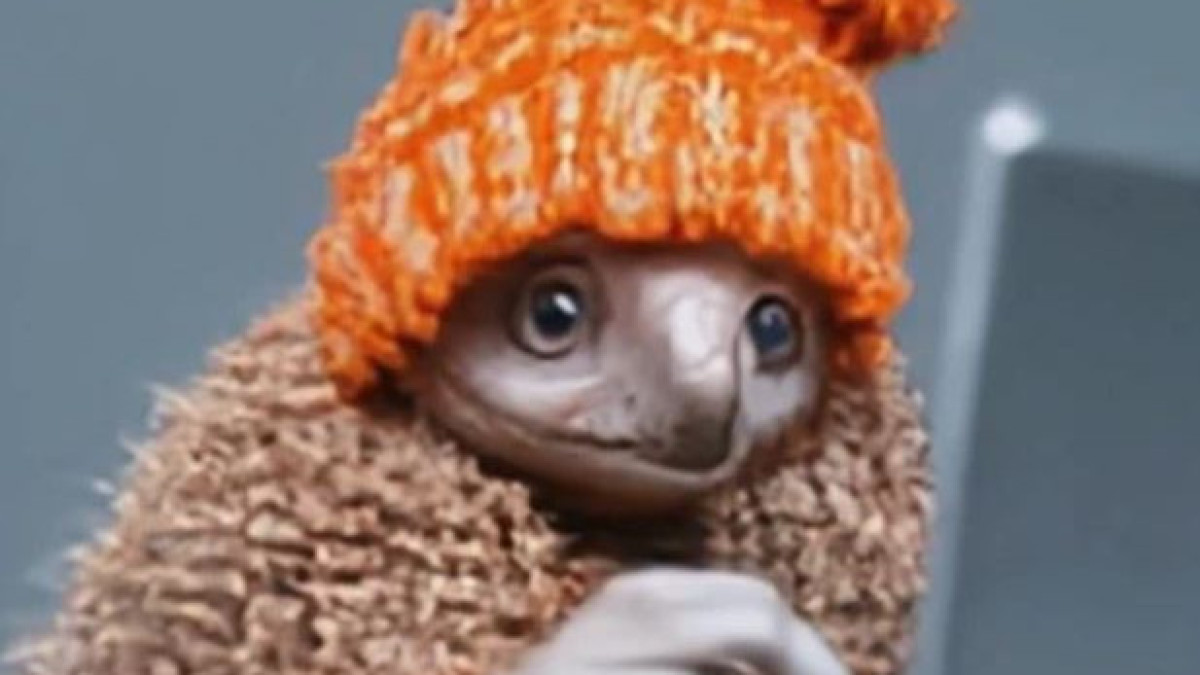 скриншот с видео facebook.com/zuck