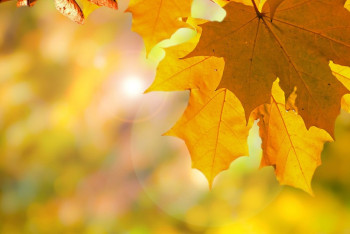 Фотография к новости: О погоде на 3 октября в Казахстане рассказали синоптики