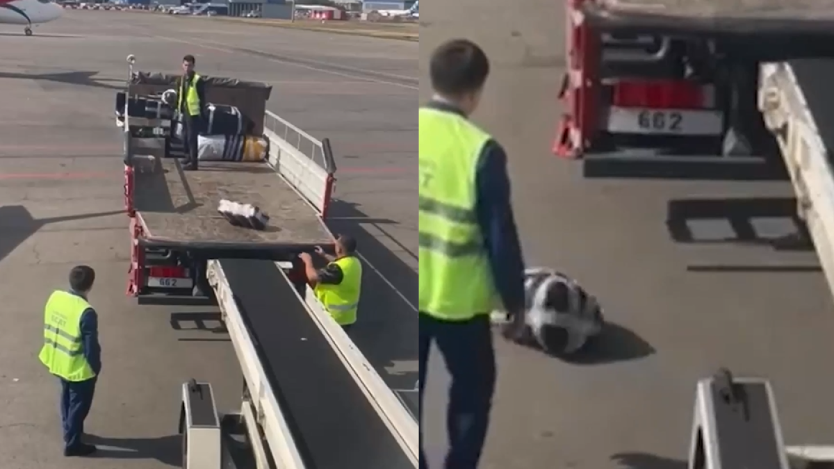 скриншот с видео