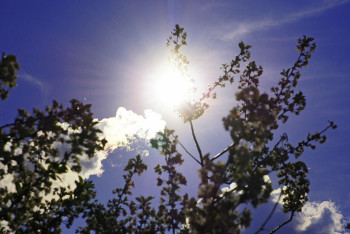 Фотография к новости: Сухая и солнечная погода сохранится в Казахстане до выходных