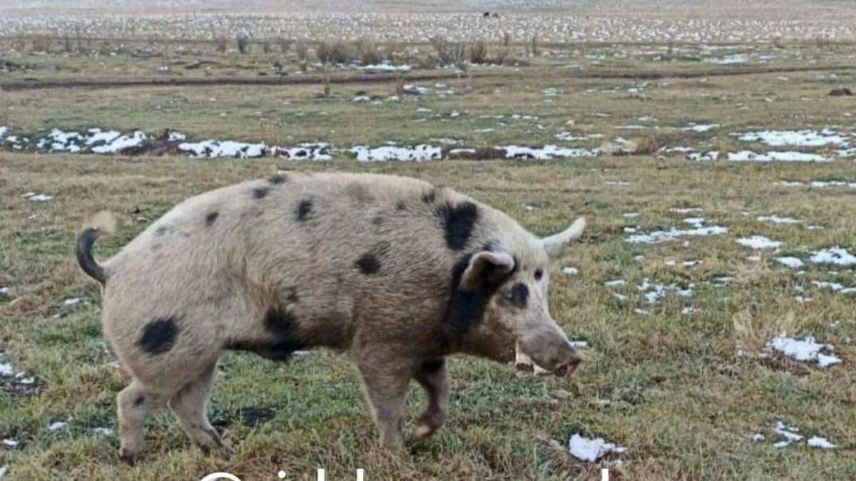 Instagram.com/riddervsegda