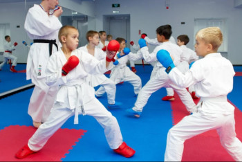 Фотография к новости: Один ребёнок — один ваучер: в программу "Артспорт" внесли изменения