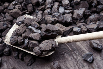 Фотография к новости: Купить уголь онлайн теперь могут и алматинцы