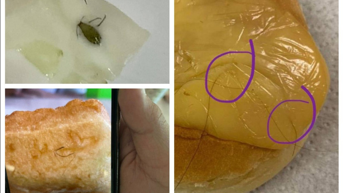 t.me/Kozachkov offside