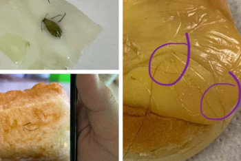 Фотография к новости: Обеды с волосами и насекомыми: в международной школе Астаны идёт проверка