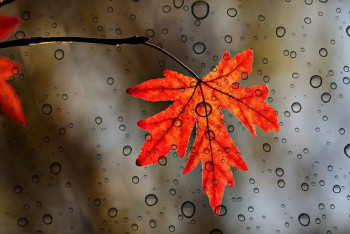 Фотография к новости: Какой будет погода в Казахстане 9 октября