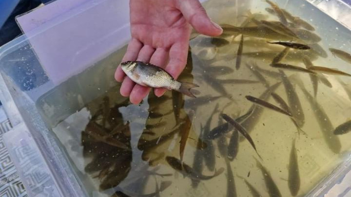 пресс-служба акимата Астаны