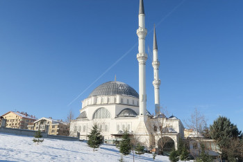 Фотография к новости: Эрдоган назвал единственную проблему Турции зимой