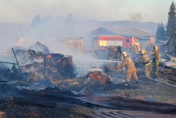 Фотография к новости: В ВКО локализовали основную часть пожаров