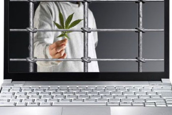 Фотография к новости: Что такое "цифровые наркоямы" рассказали в МВД