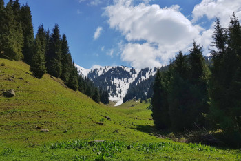 Фотография к новости: Генпрокурор поручил проверить законность передачи земель на Бутаковке под застройку