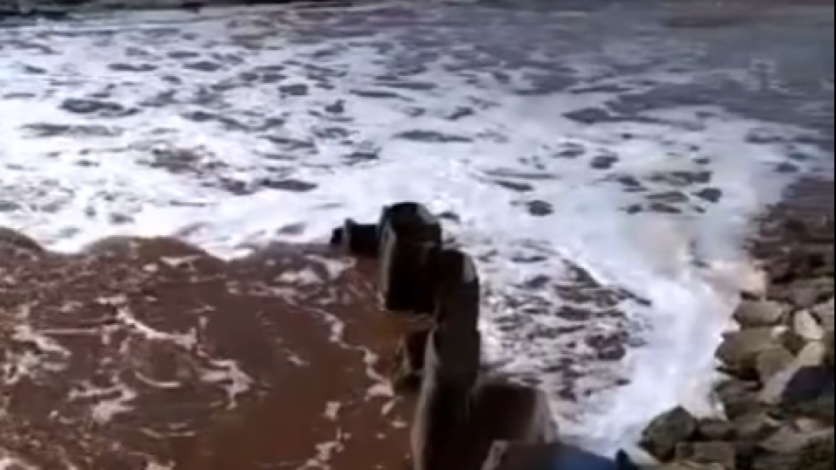 Внеплановые проверки начаты по факту загрязнения воды в Каспийском море