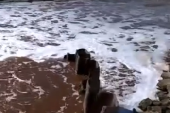 Фотография к новости: Внеплановые проверки начаты по факту загрязнения воды в Каспийском море