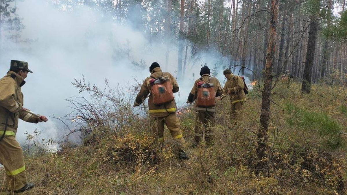 Более 96 миллионов тенге выплатят ликвидаторам лесного пожара в Костанайской области
