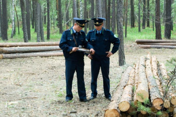 Фотография к новости: Искусственный интеллект заступил на службу: как лесники охраняют Бурабай от пожаров