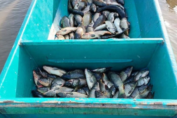 Фотография к новости: 1,7 тонны незаконно добытой рыбы изъяли у атыраусцев