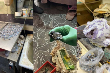 Фотография к новости: Более 600 килограммов драгоценных камней насобирали в степи карагандинцы