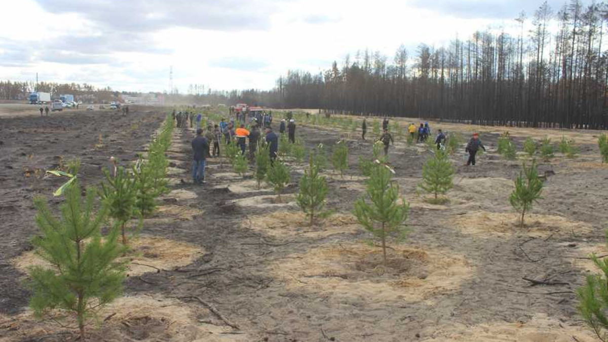 ayliekol.qostanai.media