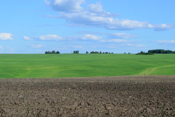 Фотография к новости: Свыше 100 тысяч гектаров неиспользуемых земель выявили в Жетысуской области