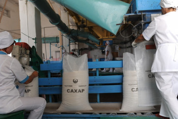 Фотография к новости: "Область Жетысу превратится в один из центров производства сахара в стране" — Токаев