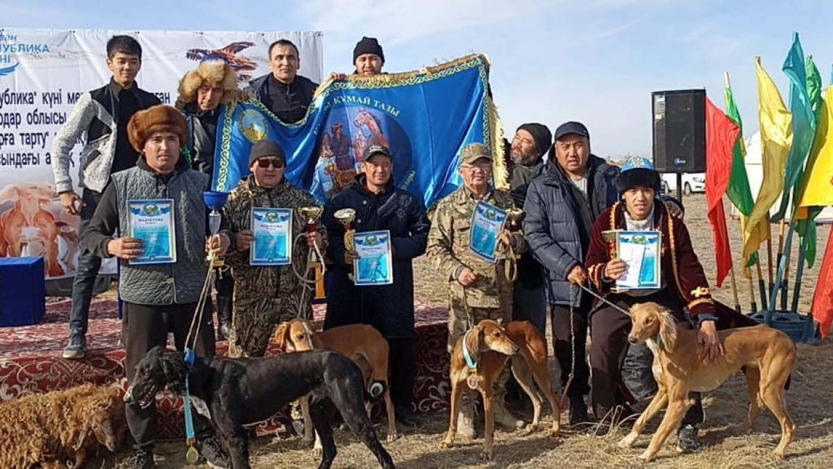 pavlodarnews.kz