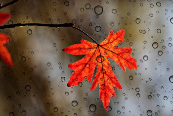 Фотография к новости: Какая погода ждет казахстанцев на праздничных выходных