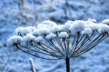 Фотография к новости: Полицейские Астаны обратились к водителям и пешеходам