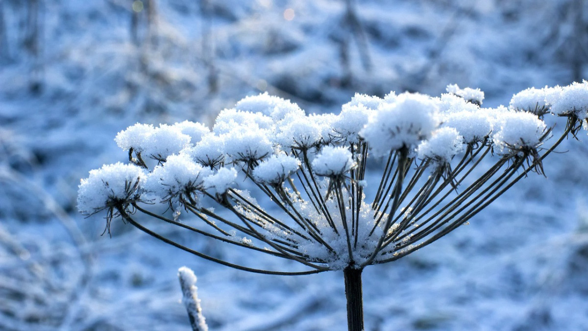 pixabay.com/ иллюстративное фото